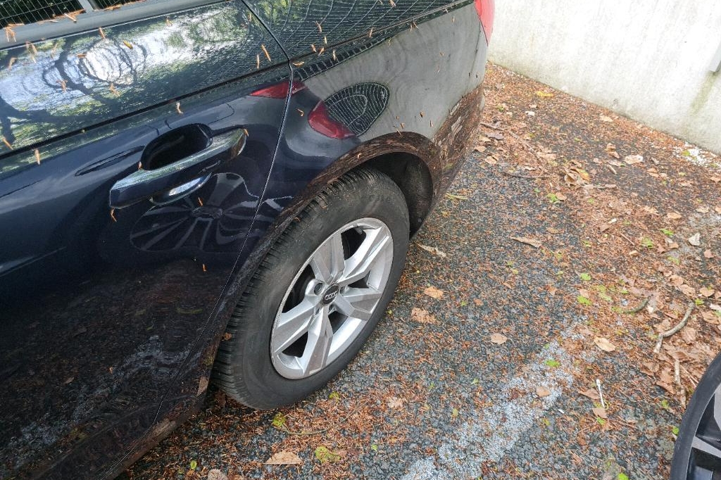 Audi A4 Avant 2017 фото 15