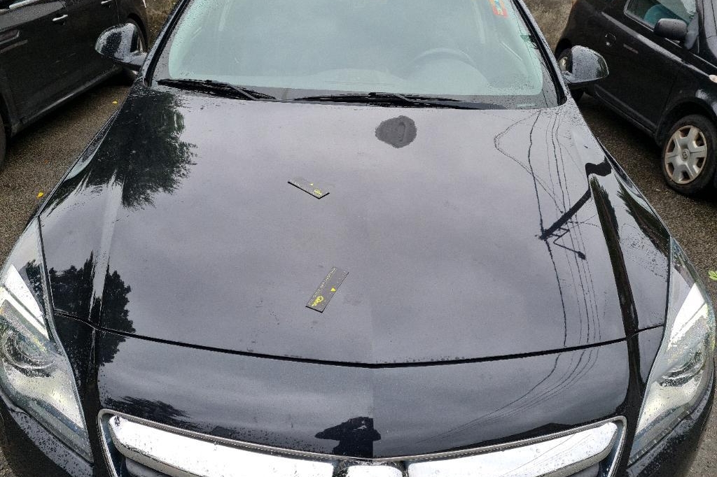 Opel Insignia Sports Tourer 2016 фото 8