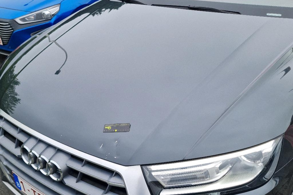 Audi Q5 2017 photo 19