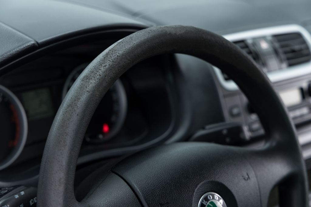 Skoda Roomster 2007 photo 19