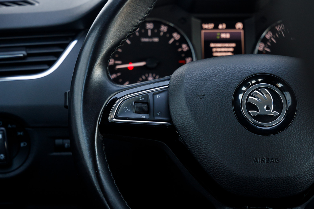 Skoda Octavia A7 Greenline фото 9