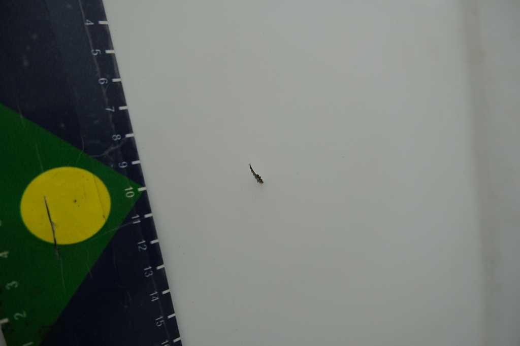 Renault Kangoo 2015 photo 11