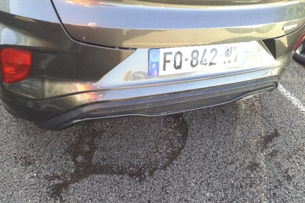 Ford Puma 2020 фото 12