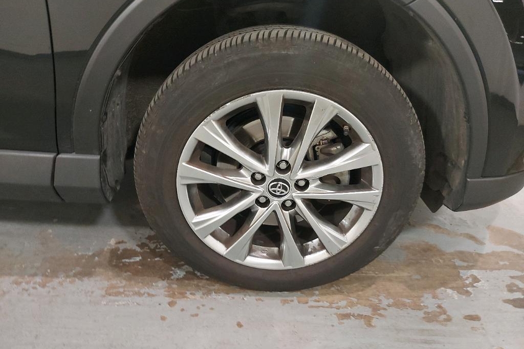 Toyota RAV4 2019 photo 12