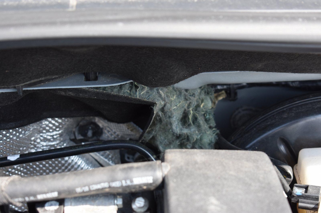 Renault Clio Grandtour 2018 фото 27