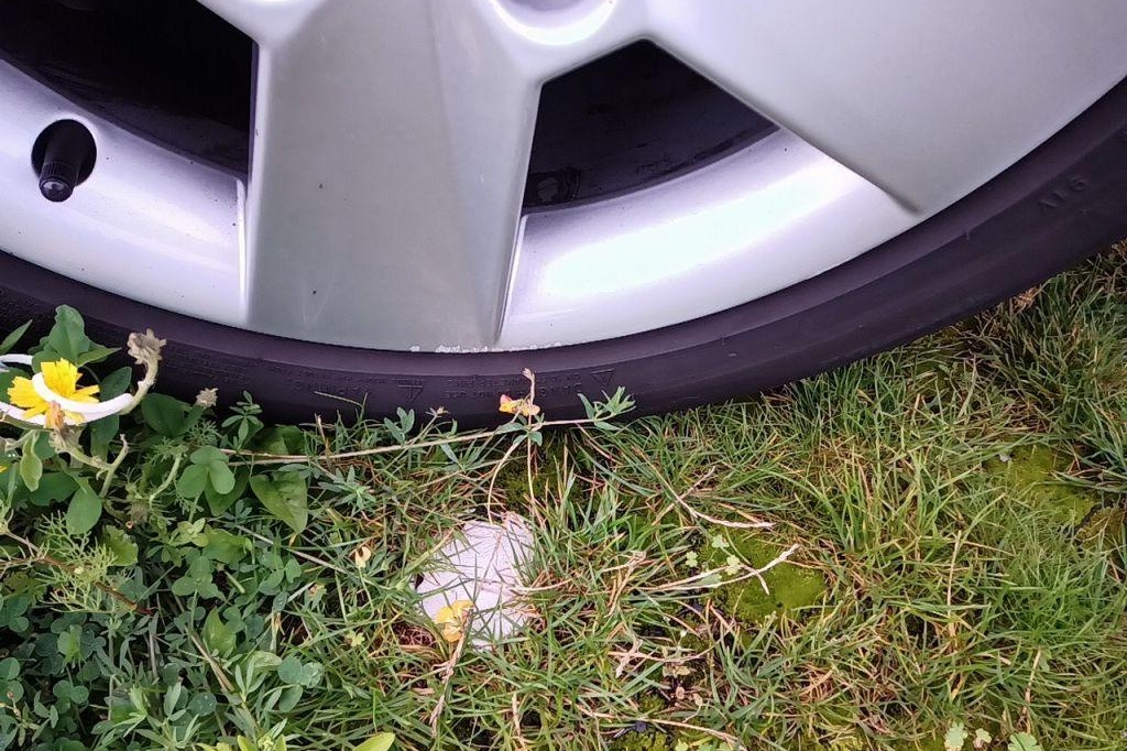 Skoda Octavia Combi 2018 фото 16