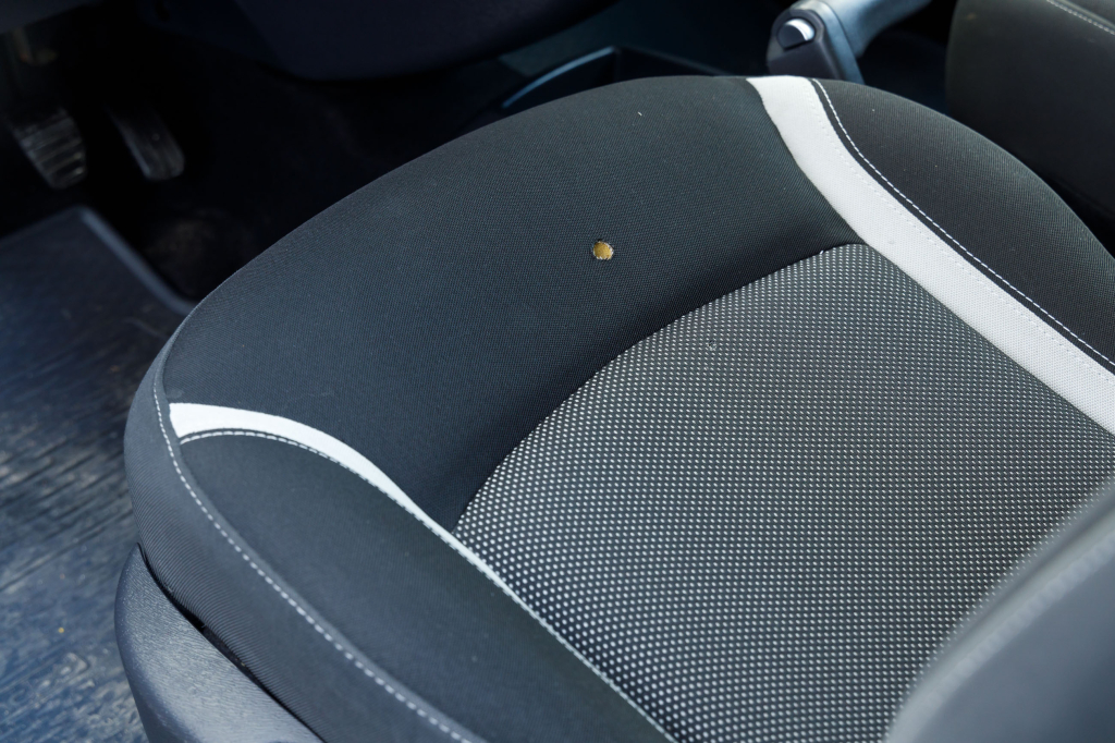 Renault Kangoo пасс. Individual  2013 photo 8