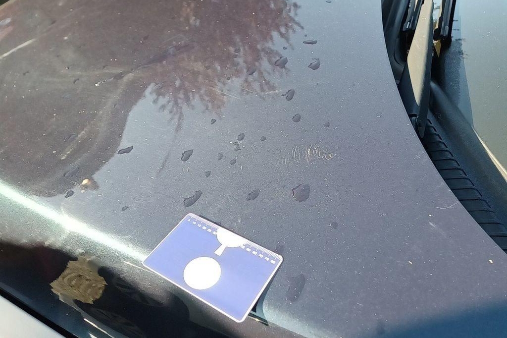 Peugeot 508 SW 2017 фото 25