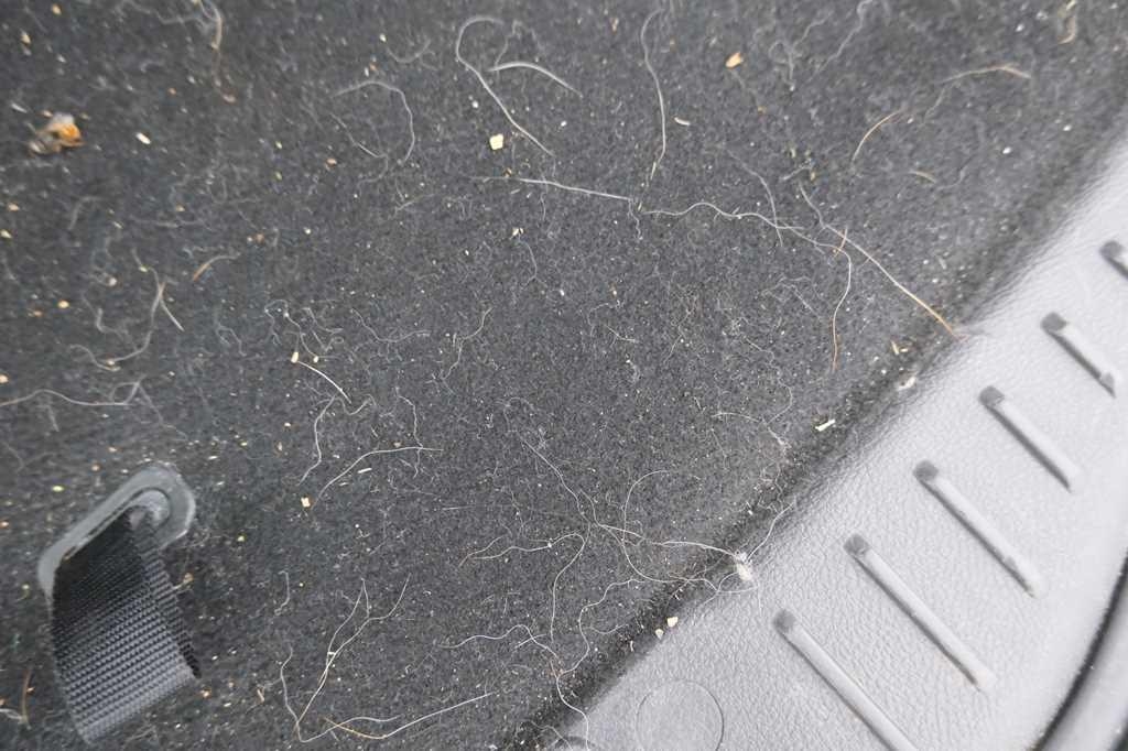 Ford Focus Tunier 2016 фото 15