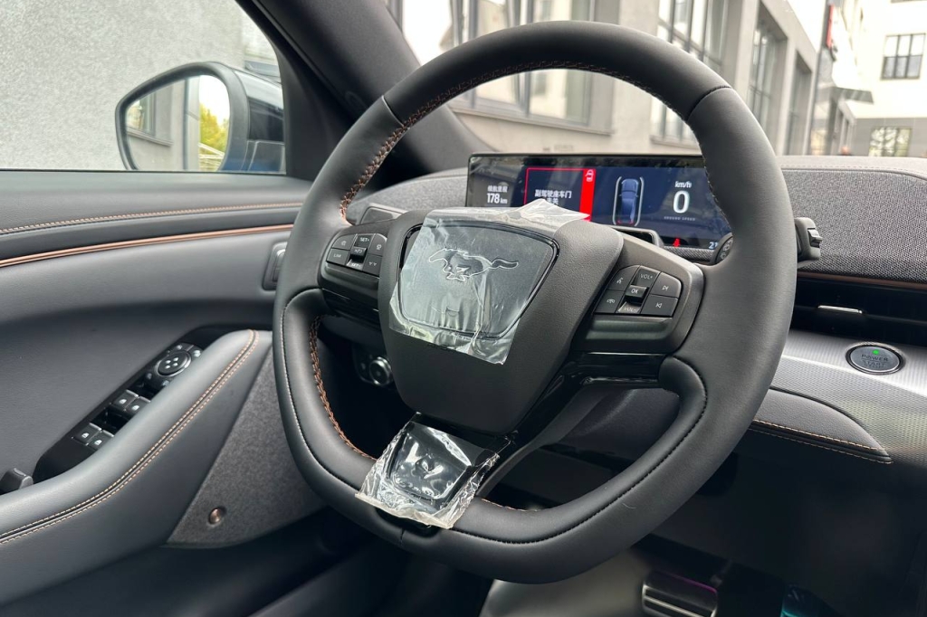 Ford Mustang Mach-E GT 2022 photo 24