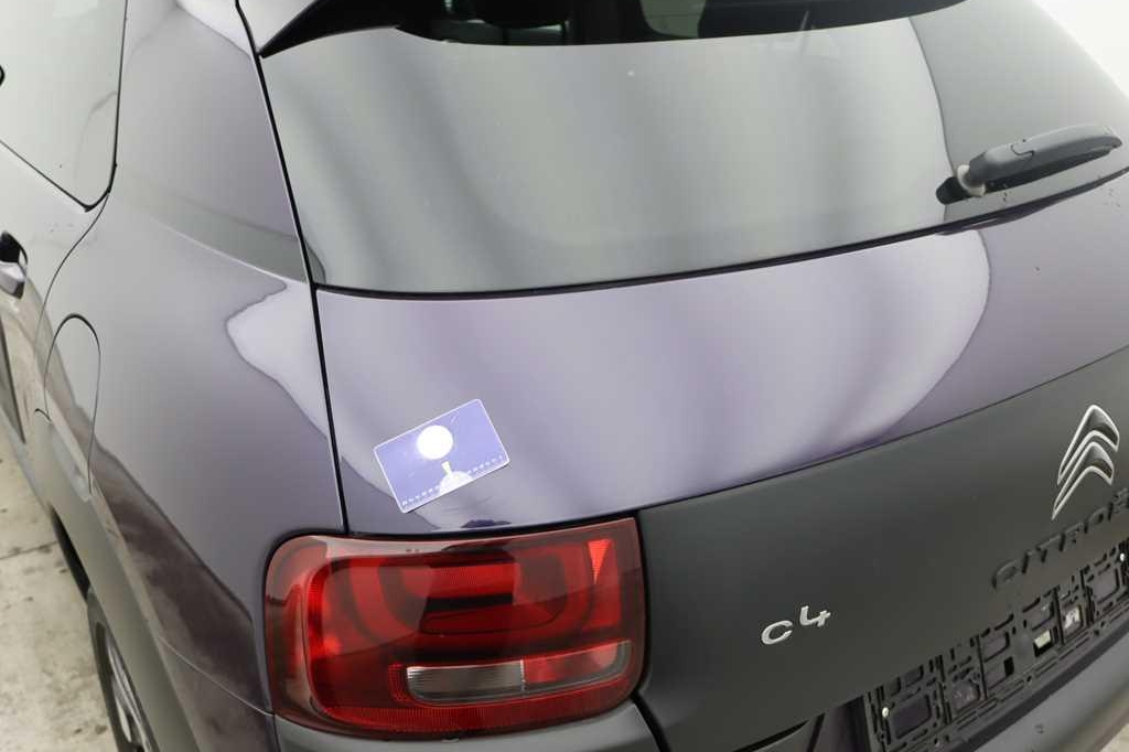 Citroen C4 Cactus 2016 фото 61