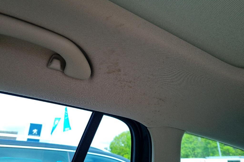 Skoda Octavia Combi 2017 фото 15