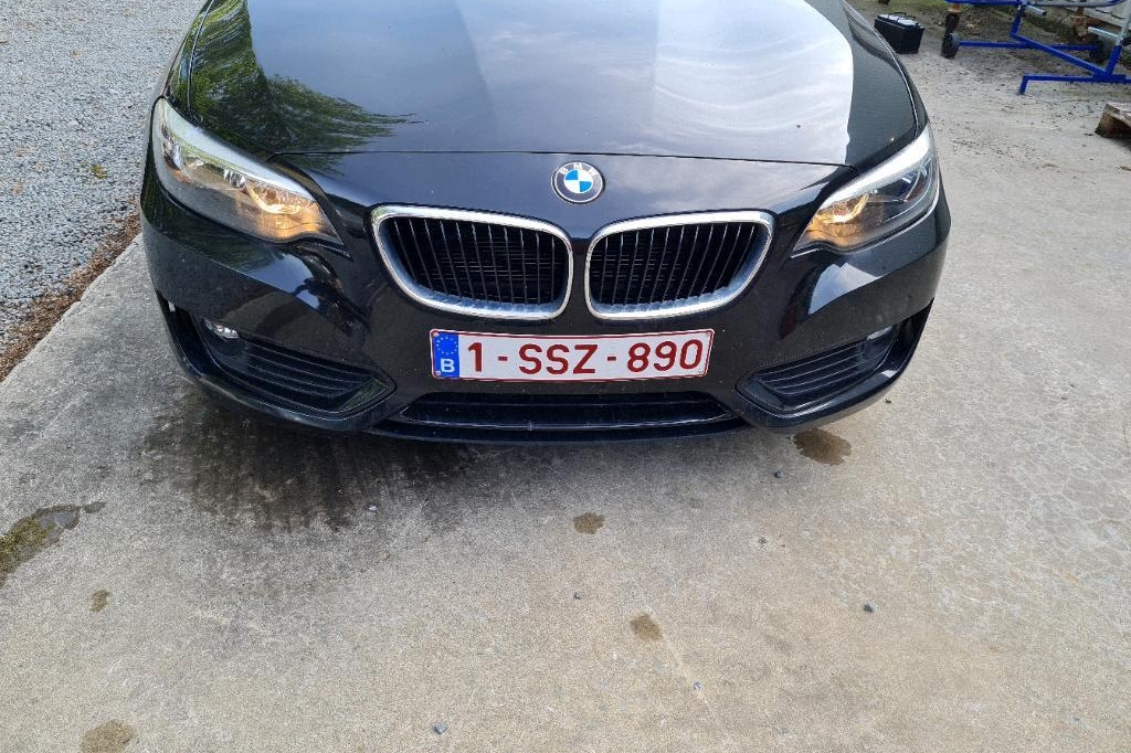 BMW 2er Coupe 2017 фото 31