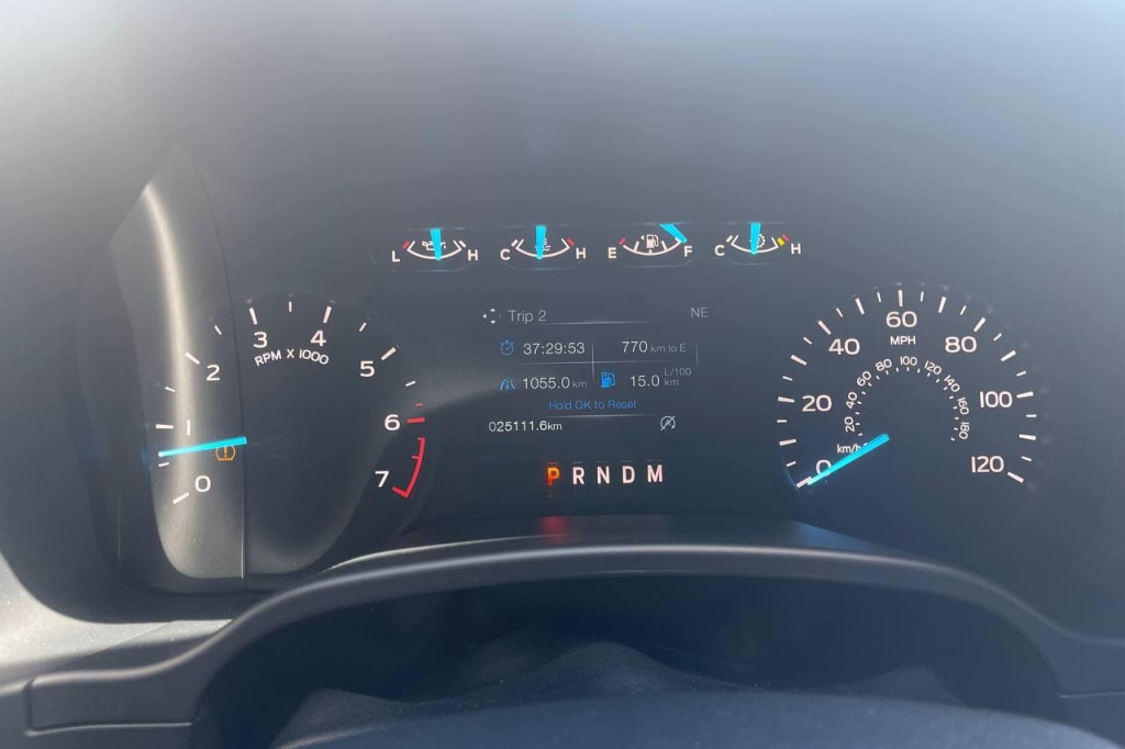 Ford F-150 2019 photo 21