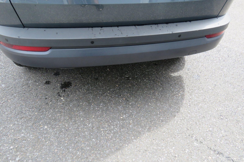 Skoda Karoq 2020 photo 10