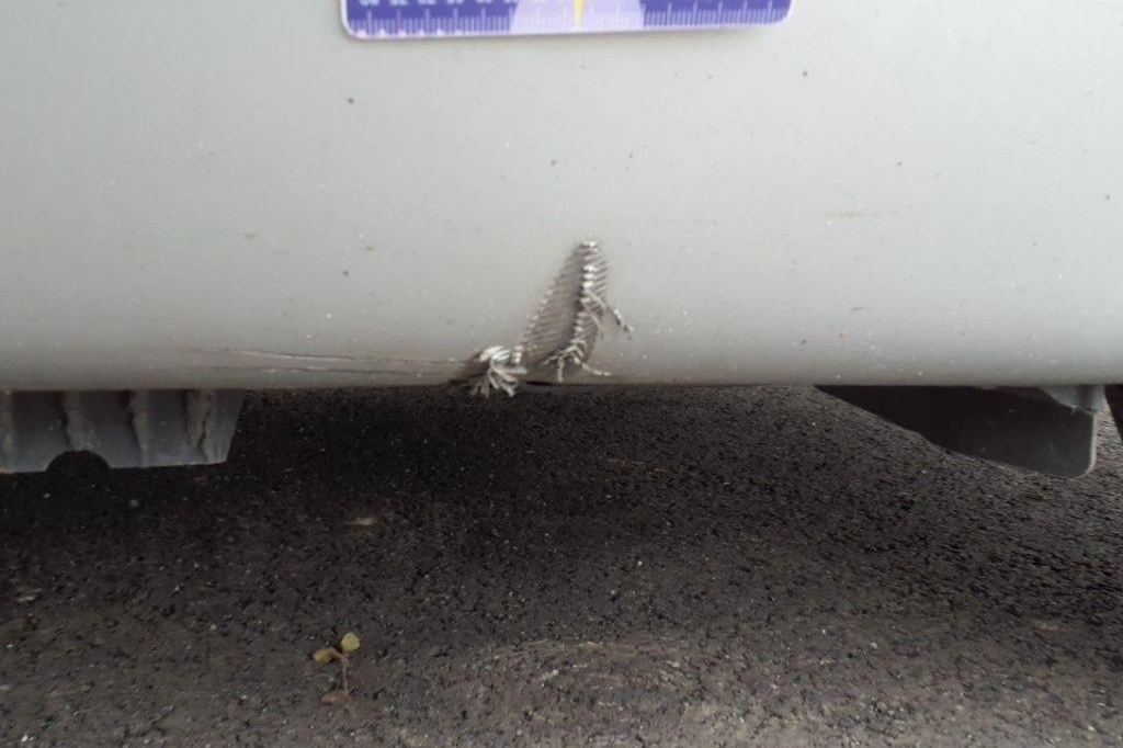 BMW 5er Gran Turismo 2016 photo 13