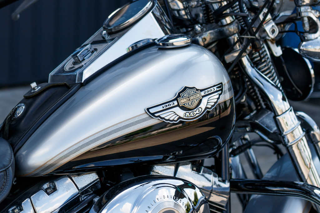 Harley-Davidson 1450 Heritage Softail Springer 2003 фото 19