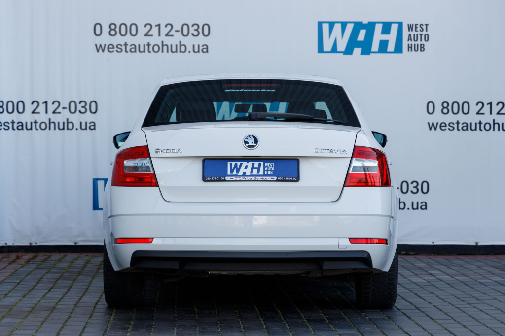 Skoda Octavia A7 2017 фото 4