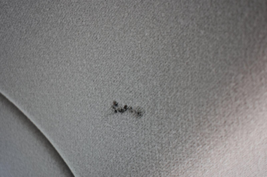 Ford Transit Custom 2020 photo 27