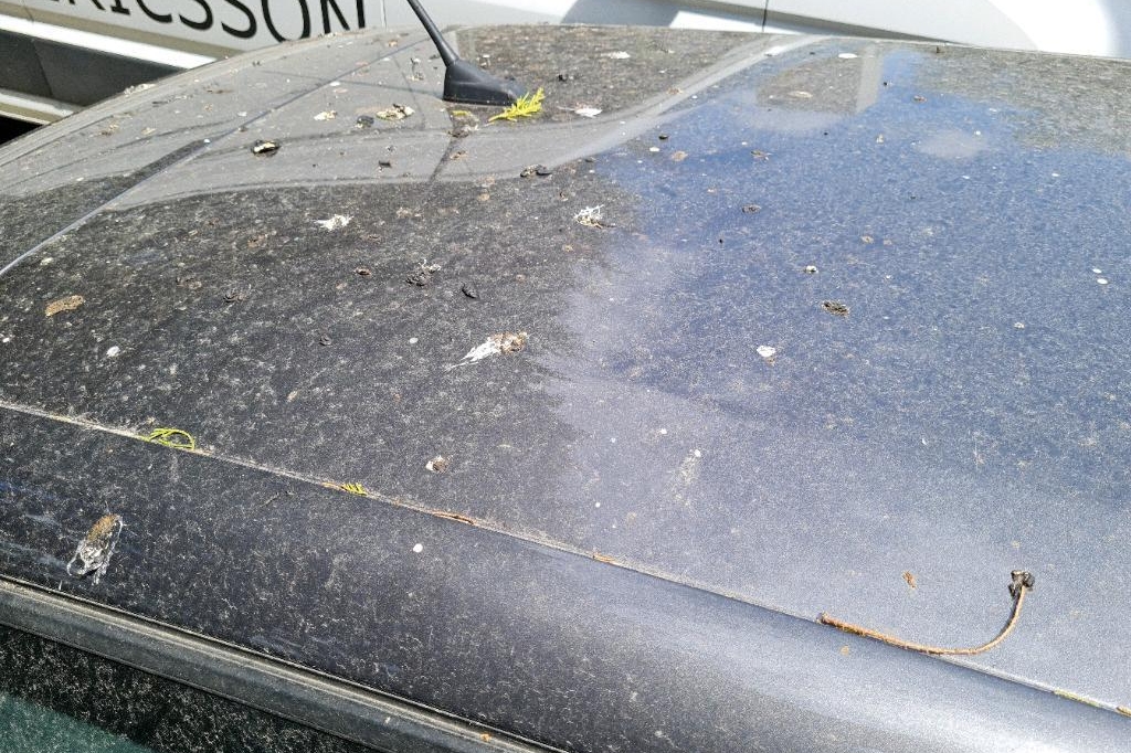 Peugeot 308SW 2016 фото 29