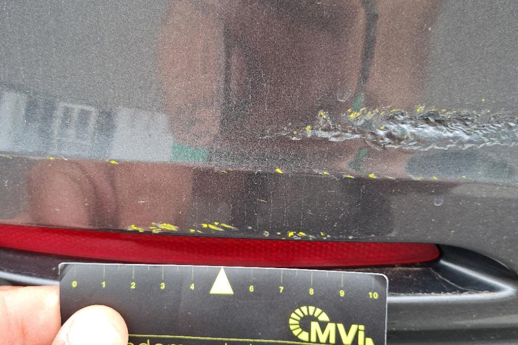 BMW 3er 2016 фото 10