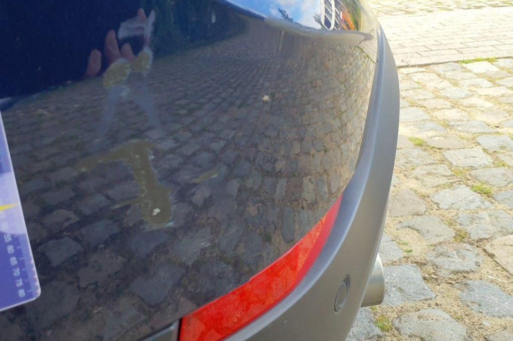 BMW X1 2019 фото 42