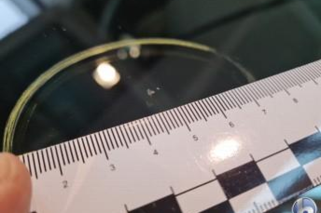 Land Rover Range Rover 2019 фото 18