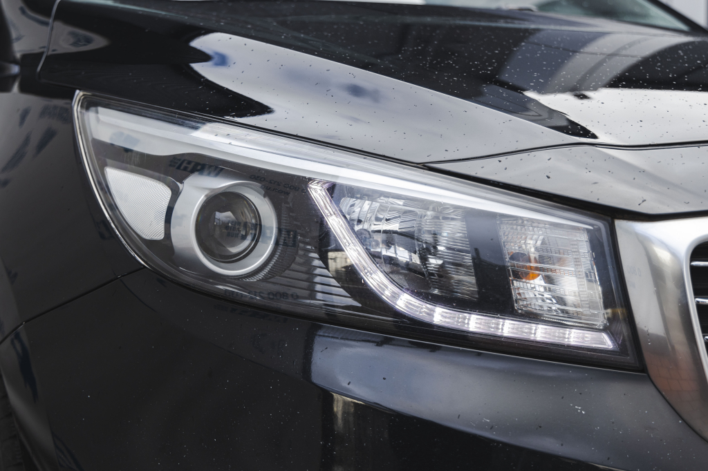 Kia Carnival 2015 фото 5