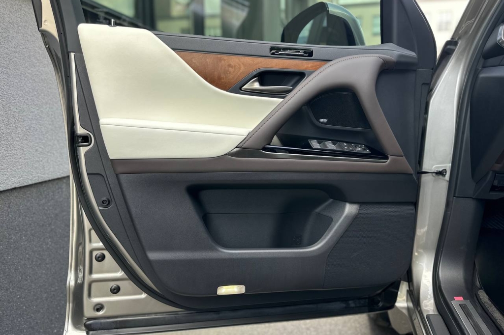 Lexus LX 500d 2022 photo 9