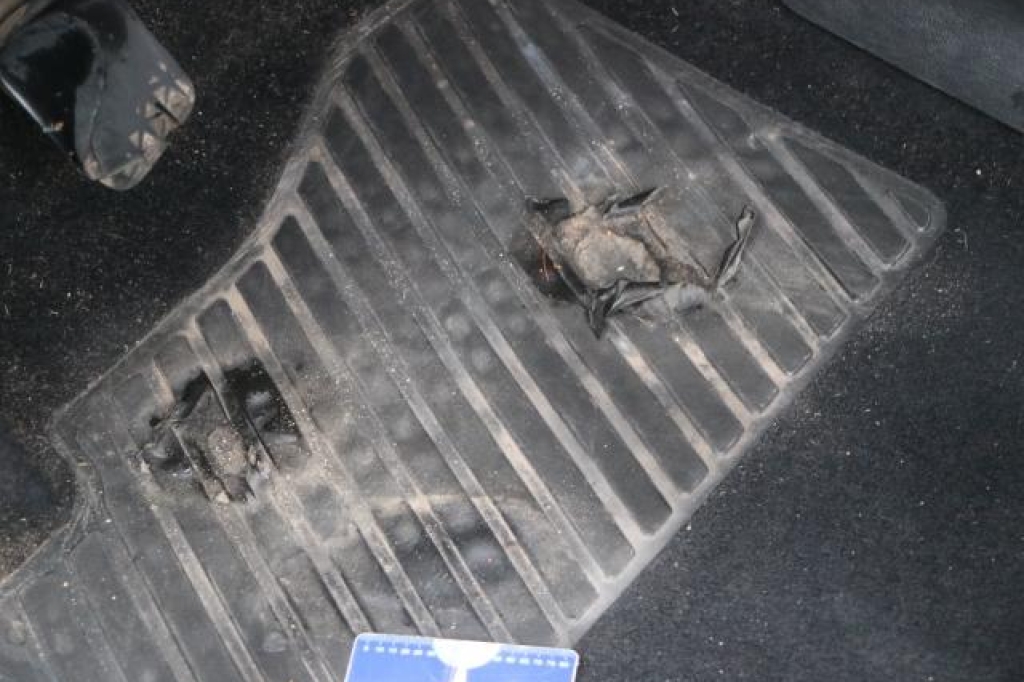 Opel Zafira Tourer 2015 фото 9