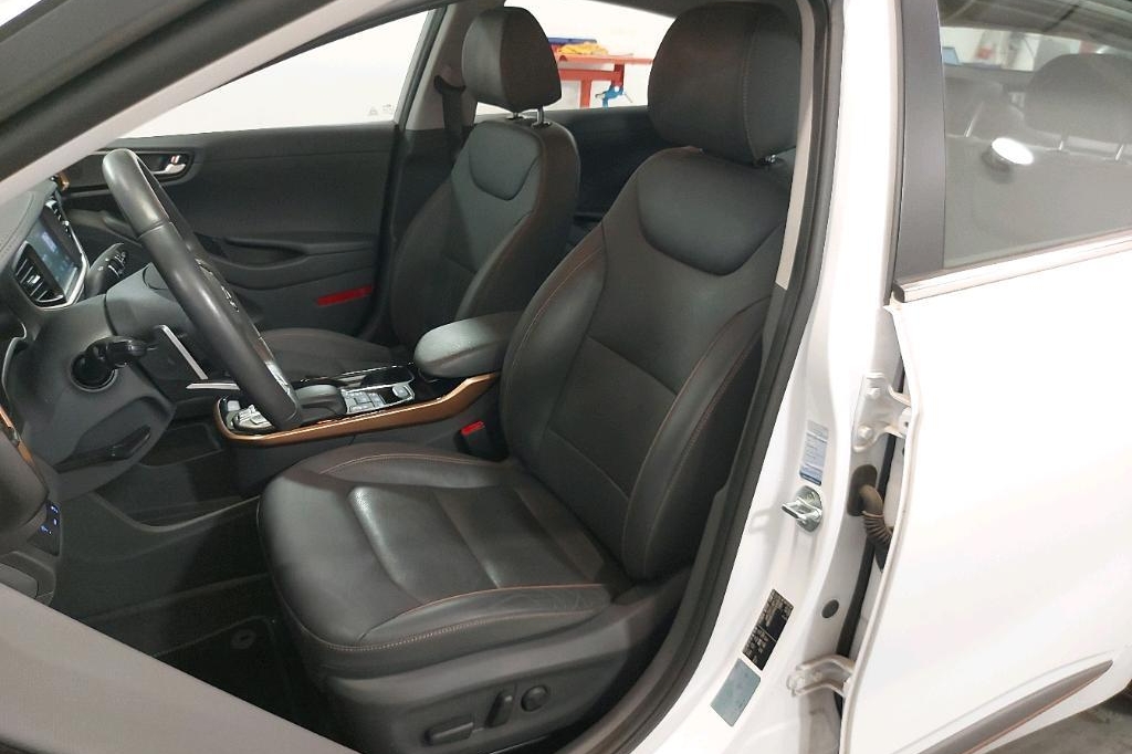 Hyundai Ioniq EV 2019 фото 9