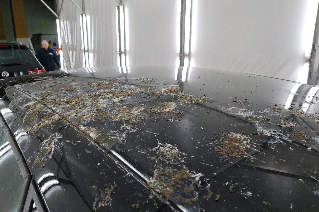 SEAT Leon 2018 фото 16