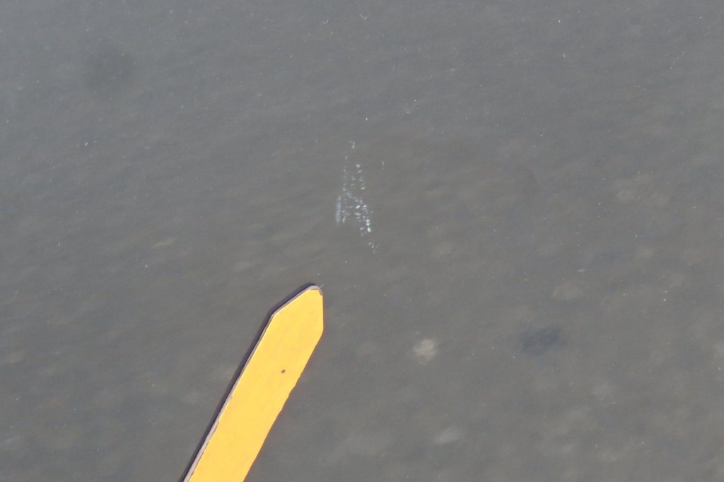 Opel Grandland X 2019 photo 13