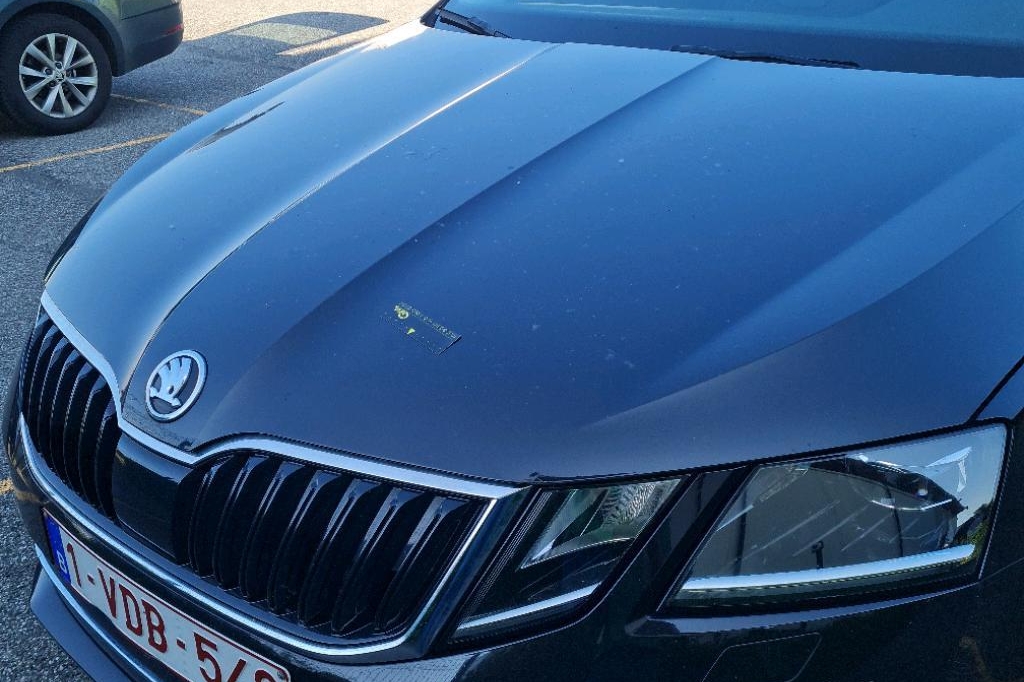 Skoda Octavia Combi 2018 photo 40