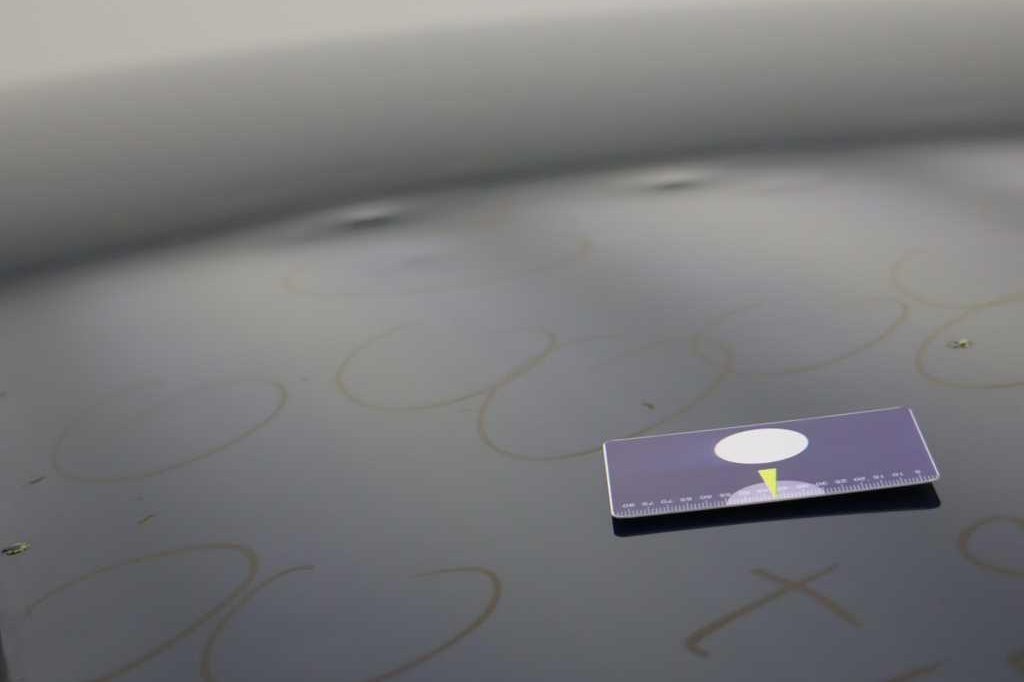 Kia Niro 2017 photo 20