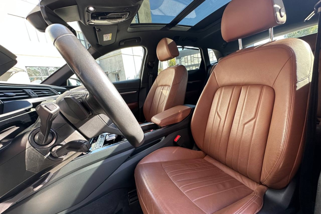 Audi e-tron 55 Quattro 2019 фото 11