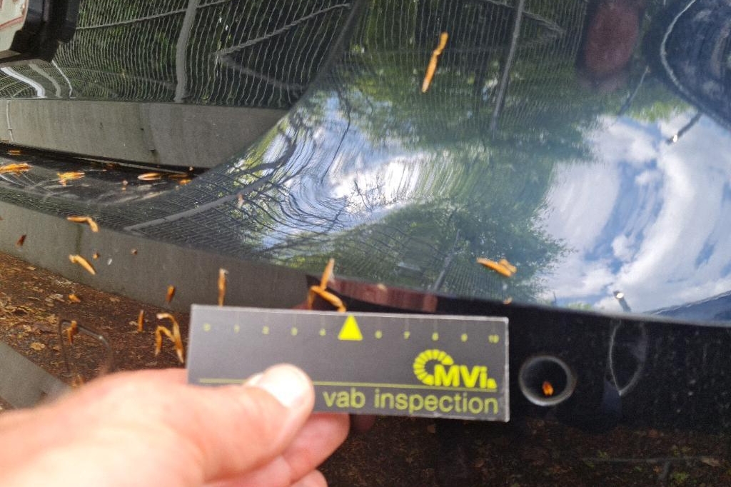 Audi A4 Avant 2017 фото 30