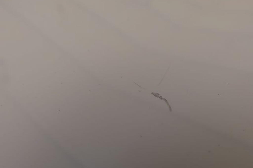 Opel Corsa 2019 photo 10