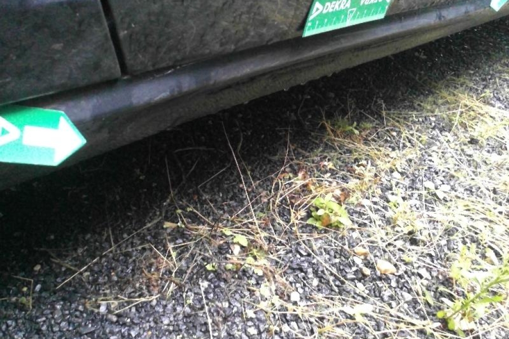 Volkswagen Golf 2019 фото 8