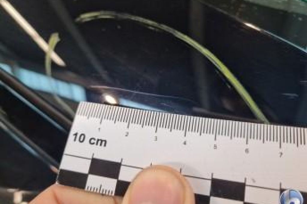 Land Rover Range Rover 2019 фото 17