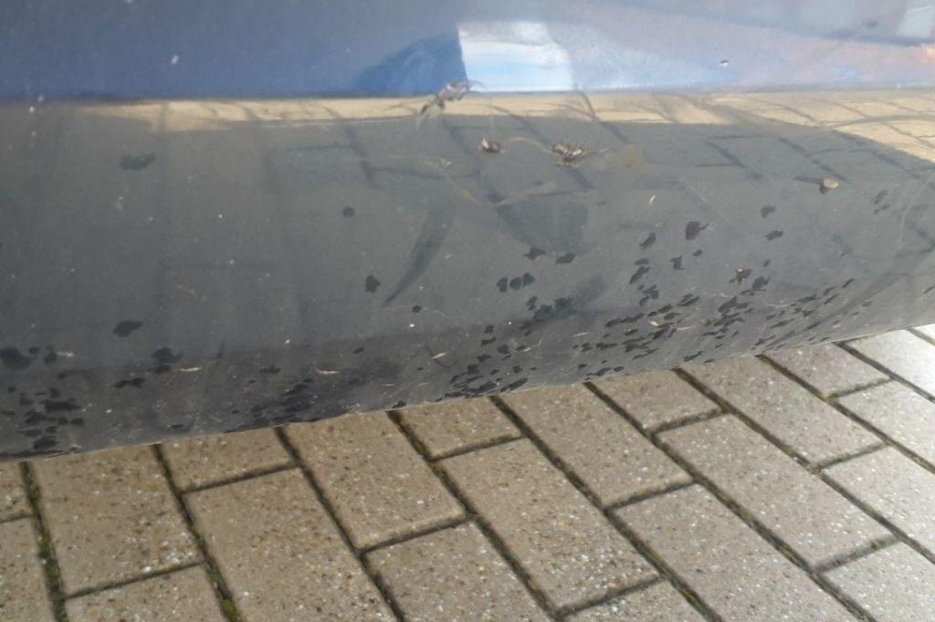 Volvo XC60 2020 photo 8