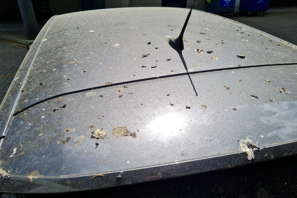 Peugeot 308SW 2016 фото 9