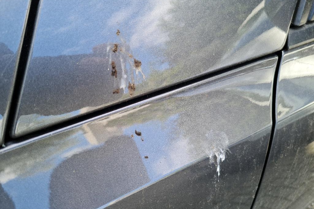 Peugeot 308SW 2016 фото 23