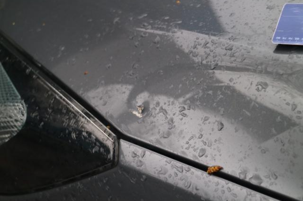 Opel Zafira Tourer 2015 фото 45