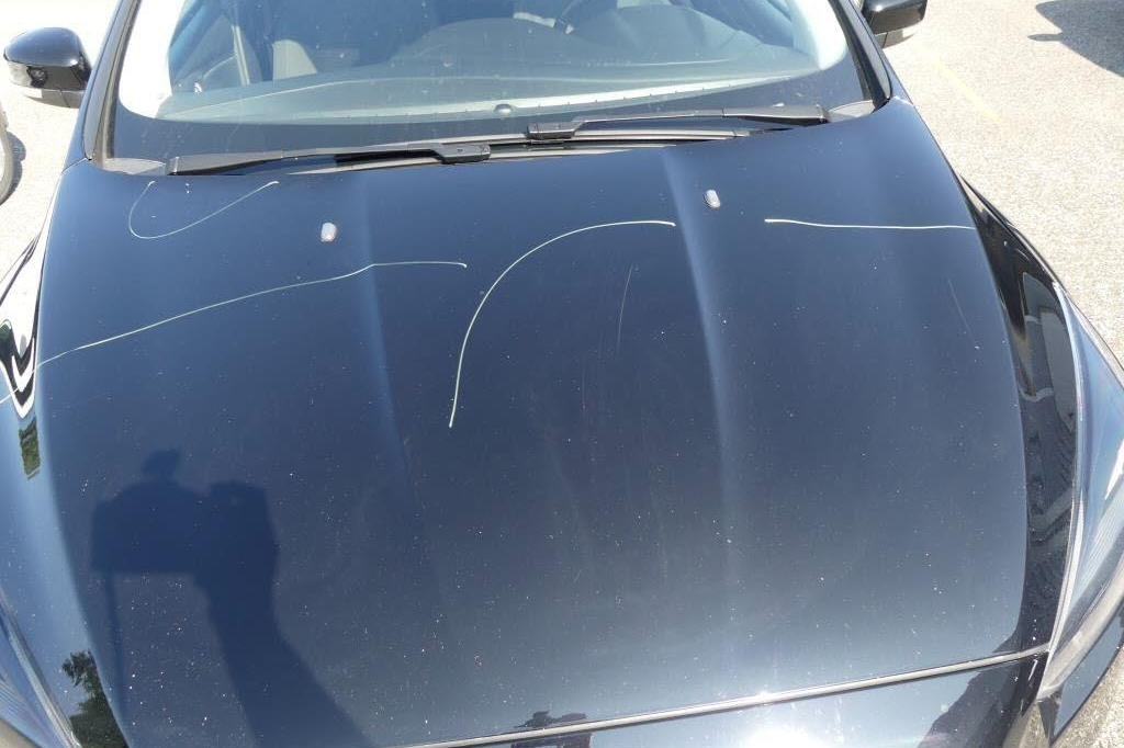 Ford Focus Turnier 2016 photo 20