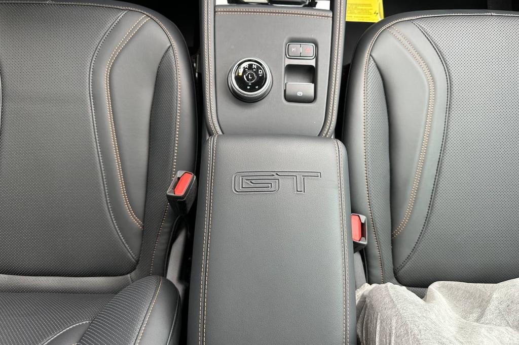 Ford Mustang Mach-E GT 2022 photo 23