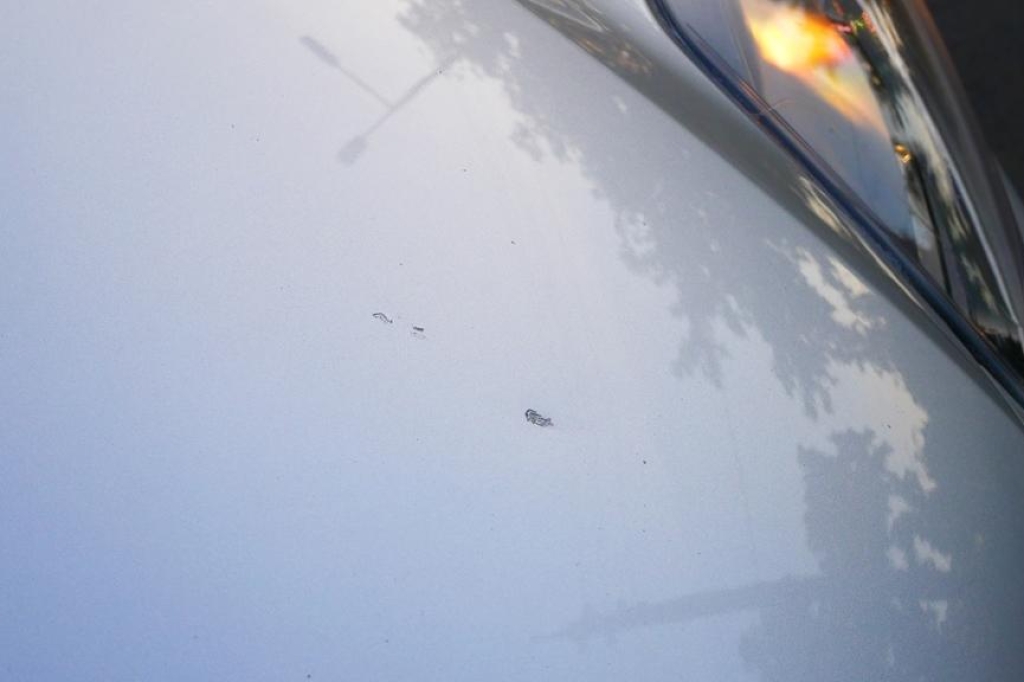 Ford Focus Turnier 2012 фото 8