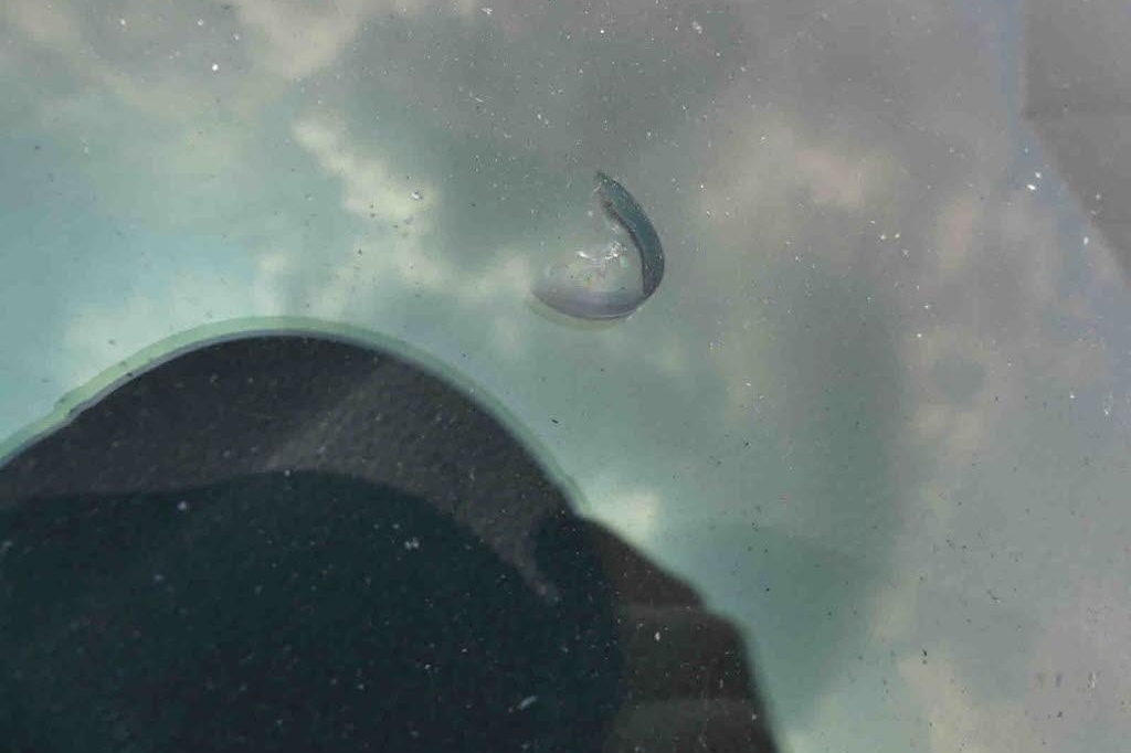 Skoda Superb Combi 2018 фото 32