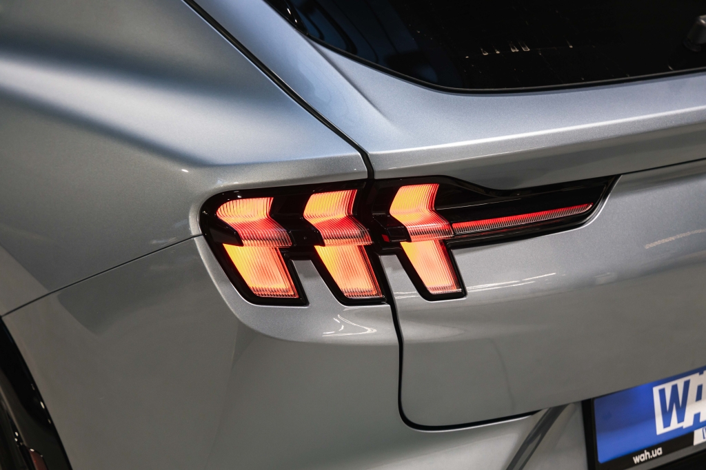 Ford Mustang Mach-E 2022 photo 16