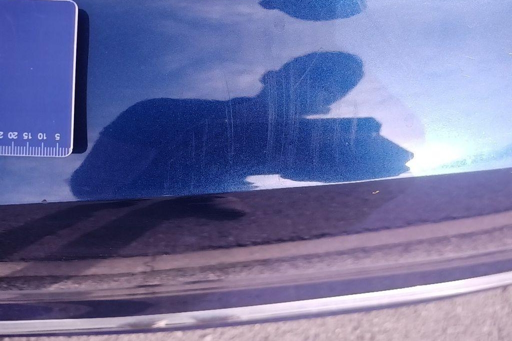 Audi A5 Sportback 2018 фото 52